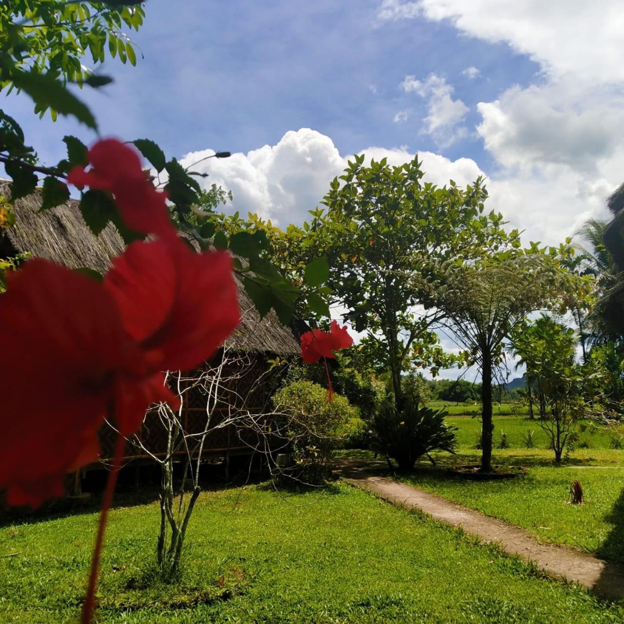 Abdi Homestay Arau Eksteriør billede